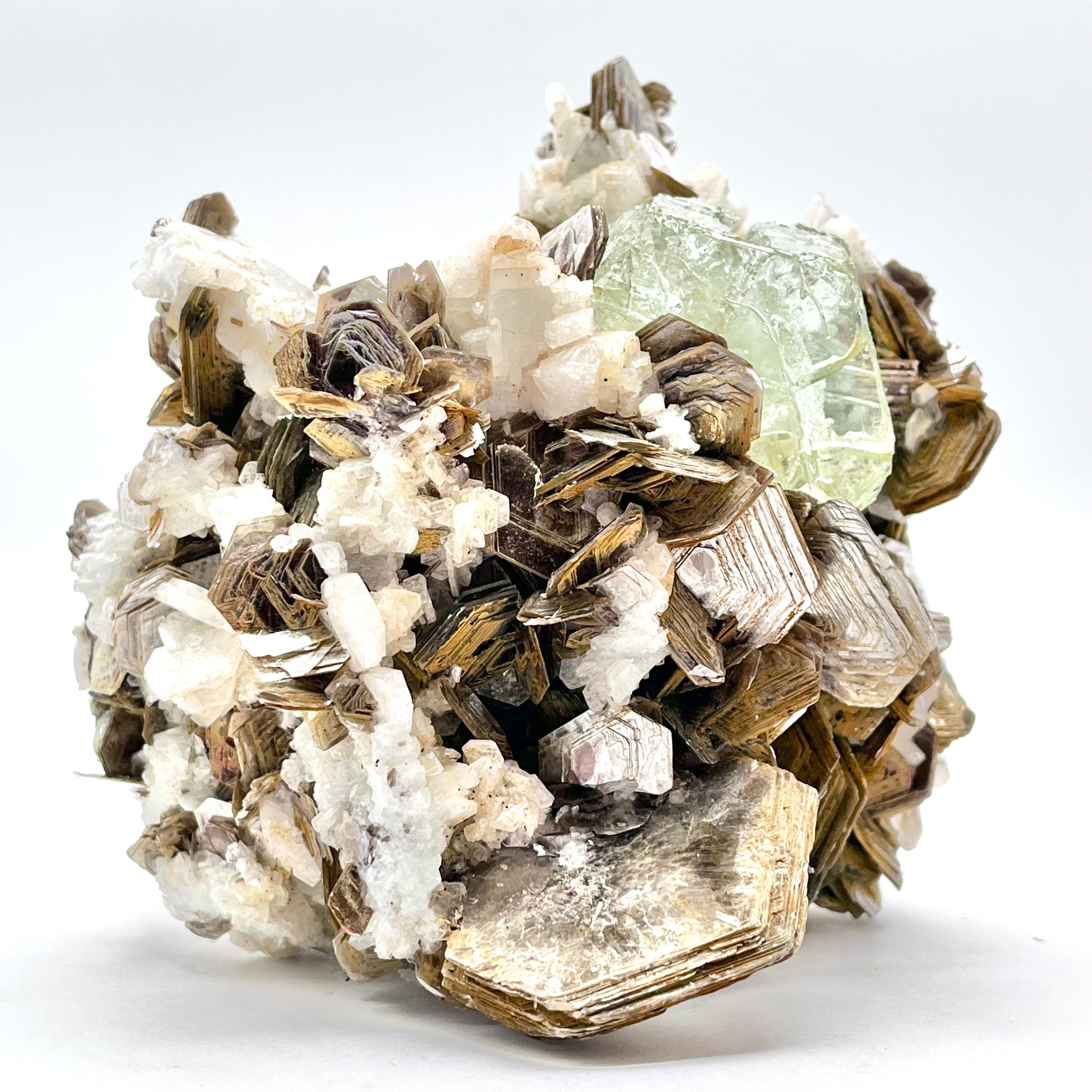 Exquisite Aquamarine Cluster w/ Mica & Clevelandite