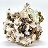 Exquisite Aquamarine Cluster w/ Mica & Clevelandite