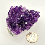 Amethyst Cluster