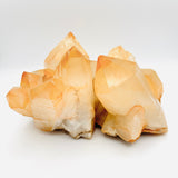 Golden Healer Lemurian