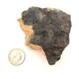 Raw Black Tourmaline in Matrix