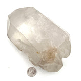 Stunning Double Terminated Quartz w/ Trigonics