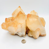 Golden Healer Lemurian