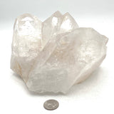 Beautiful Large Quartz Cluster- 5 Pointed