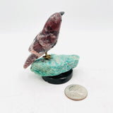 Carved Hummingbird Varied Stones