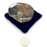 Scenic Inclusion Quartz