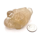 Tourmalated Smoky Quartz Duck Animal Carving