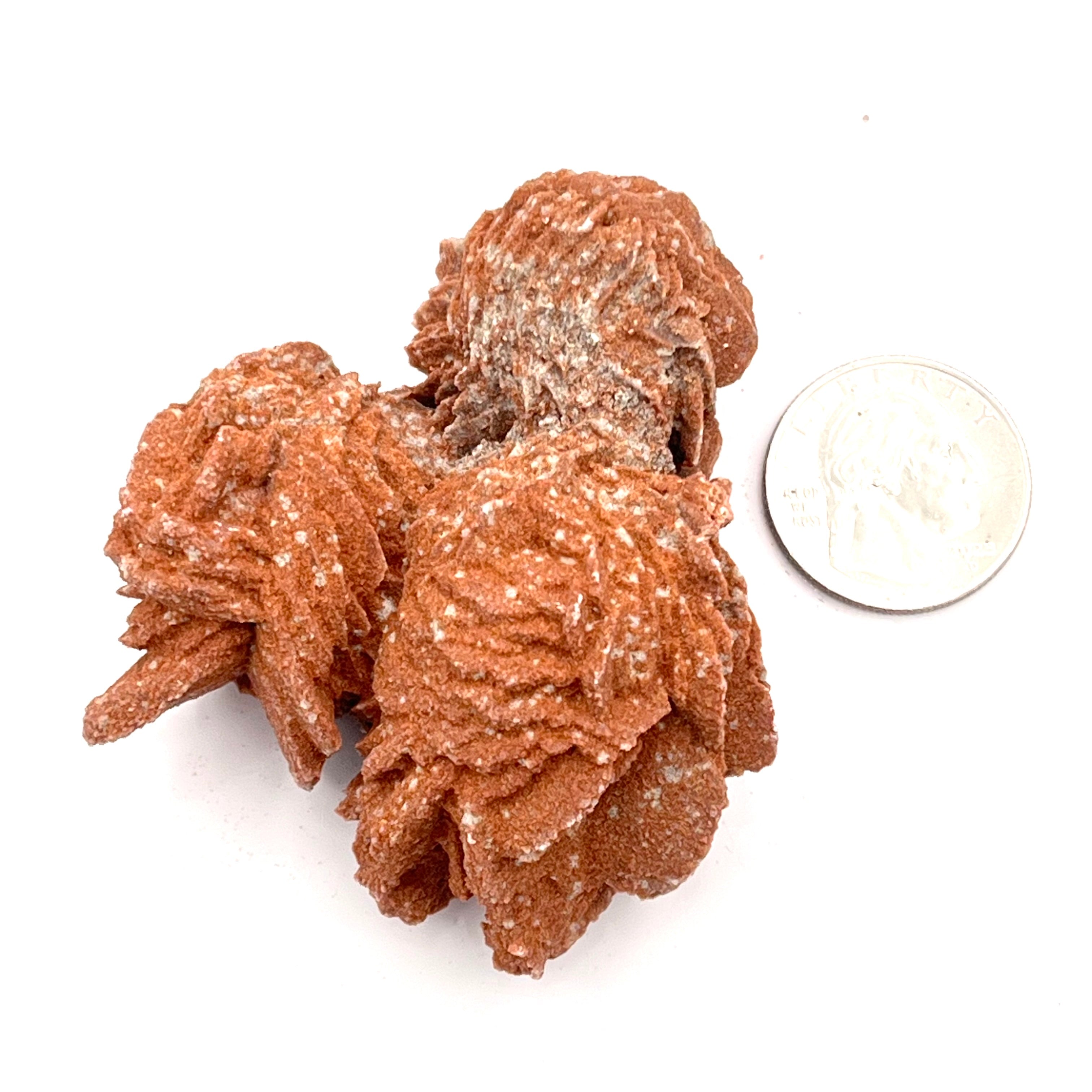 Gypsum Variety Selenite Rose