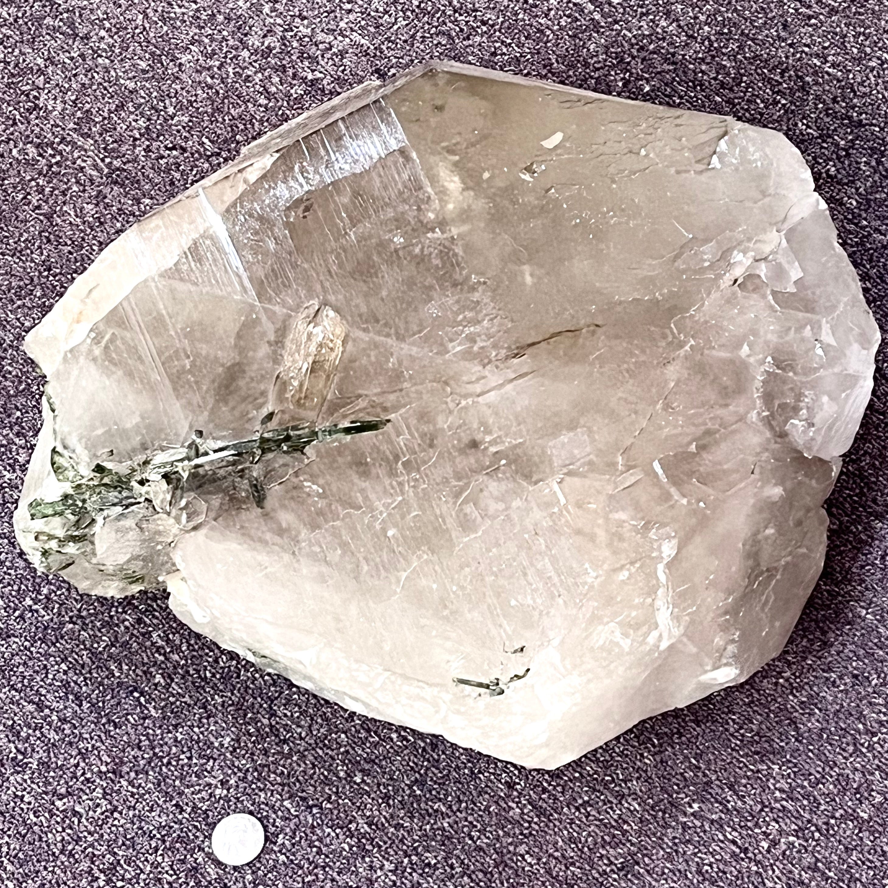 Extra Large Light Smoky Quartz w/ Beautiful Green Tourmaline Inclusions