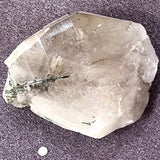 Extra Large Light Smoky Quartz w/ Beautiful Green Tourmaline Inclusions