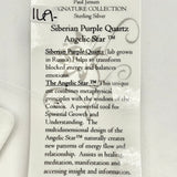 Siberian Purple Quartz Angelic Star Necklace- Paul Jensen Signature Collection