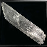 Window Pane Selenite