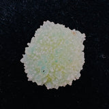 “Drusy Drop” Small