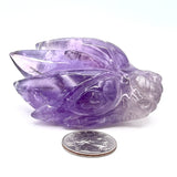 Amethyst Dragon Head