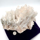 Huge Stunning Scolecite Cluster from India