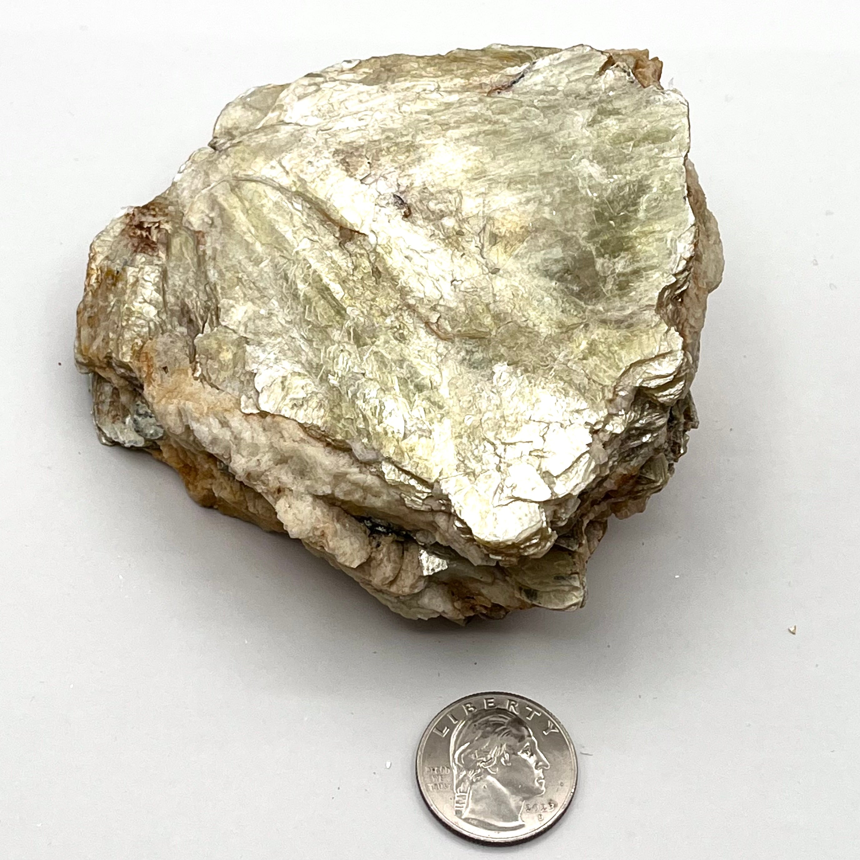 Gold Mica Sheet w/ Muscovite & Black Tourmaline