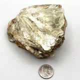 Gold Mica Sheet w/ Muscovite & Black Tourmaline