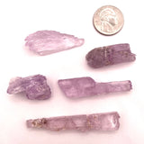 Gemmy Kunzite from Kunar Valley Afghanistan 11-12g