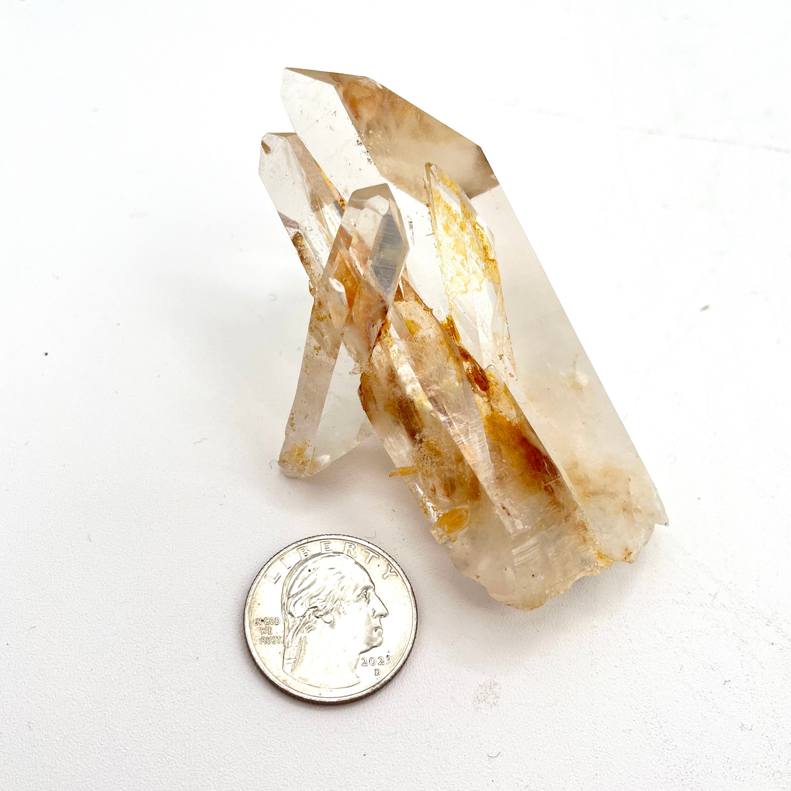 Stunning Columbian Lemurian Points with Golden Healer Inclusion