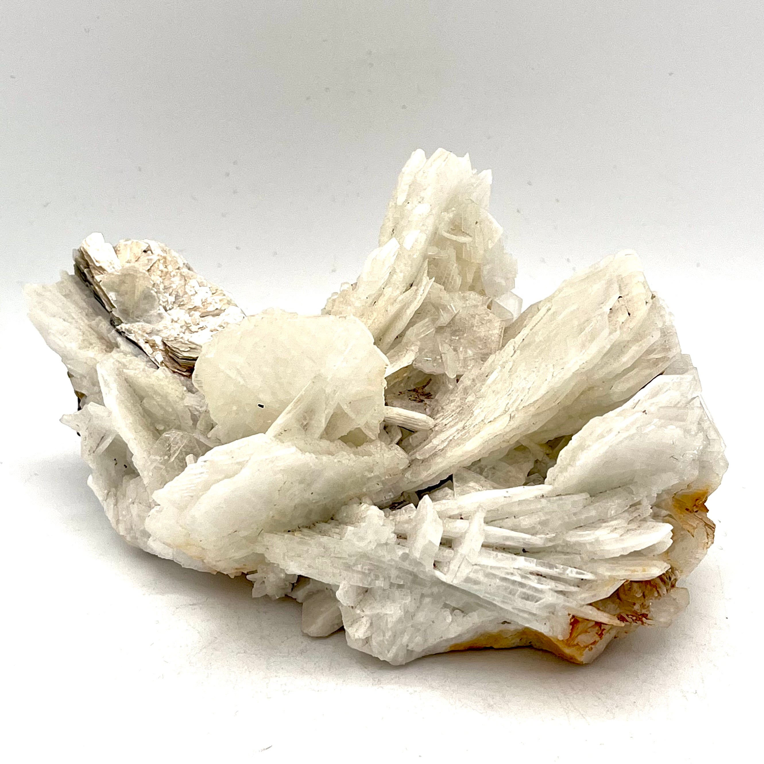 Gypsum Angel Wing Selenite Cluster w/ Mica& Iron Inclusion