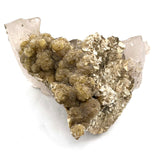 Slight Smoky Quartz Elestial w/ Golden Barite Desert Rose Formations, Mica in Feldspar/ Potassium Matrix