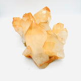 Golden Healer Lemurian