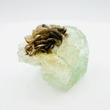 Stunning Aquamarine and Mica