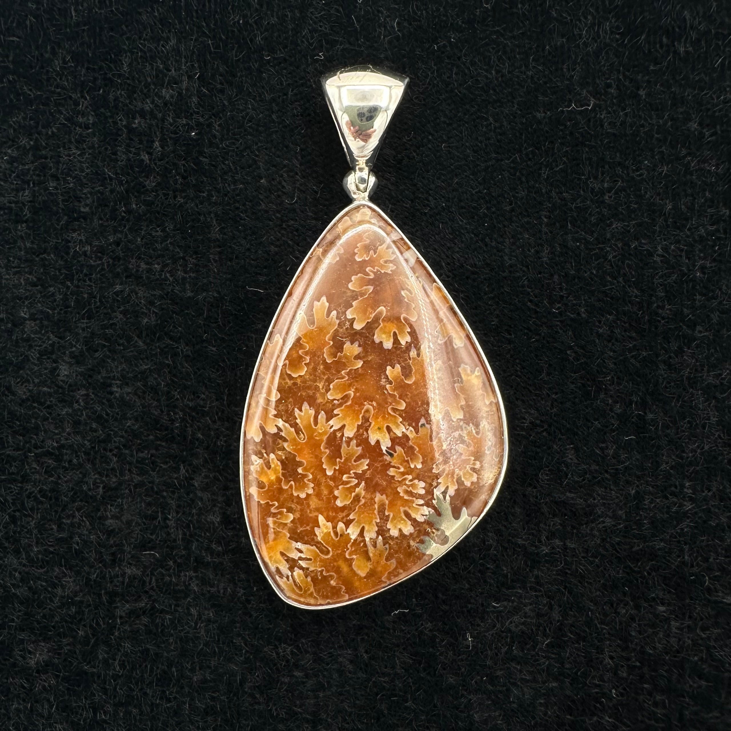 Fossilized Coral Pendant