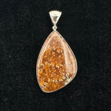 Fossilized Coral Pendant