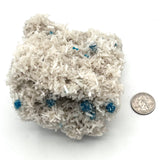 Exquisite Cavensite w Stilbite