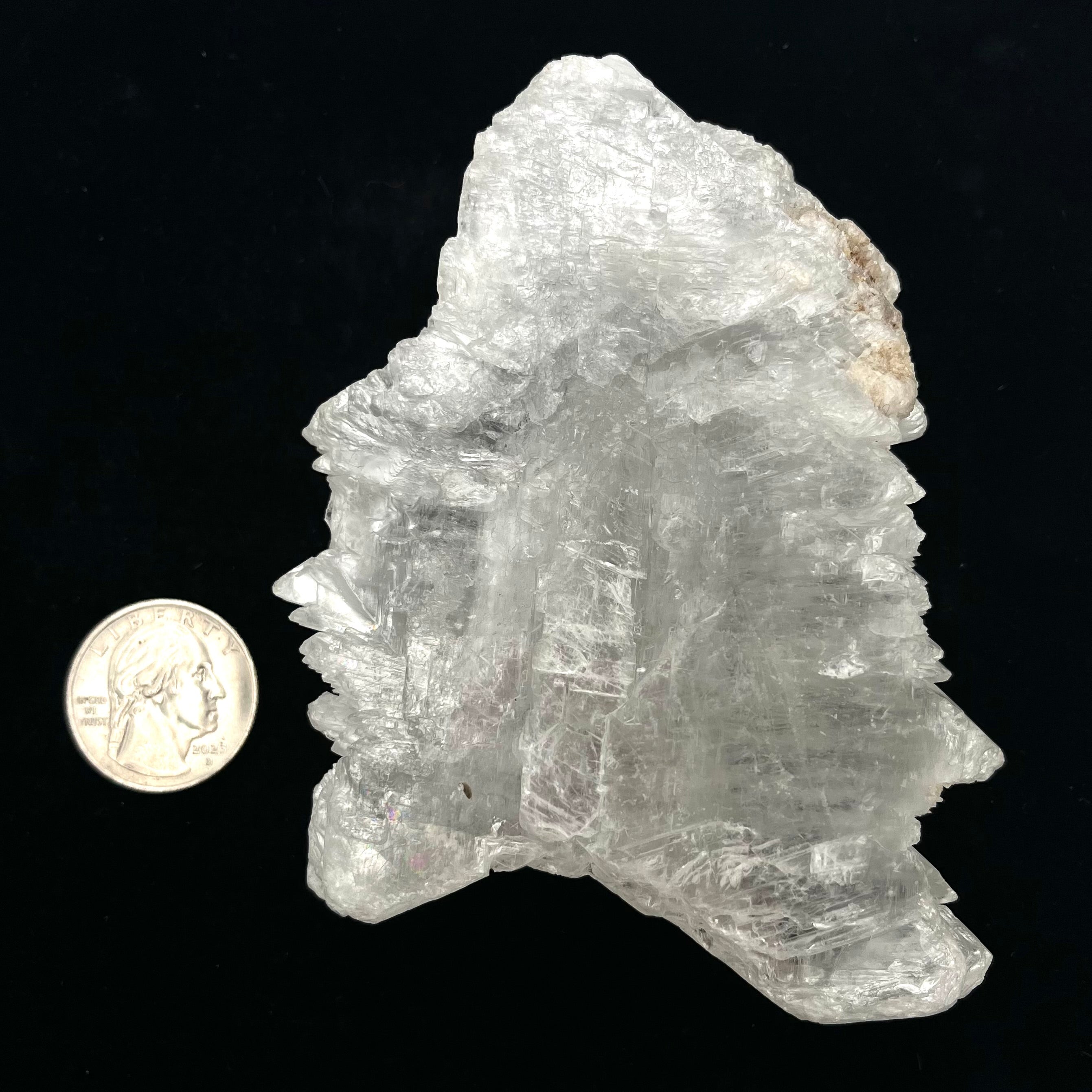 Fishtail Selenite
