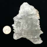 Fishtail Selenite