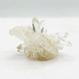 Columbian Lemurian Cluster
