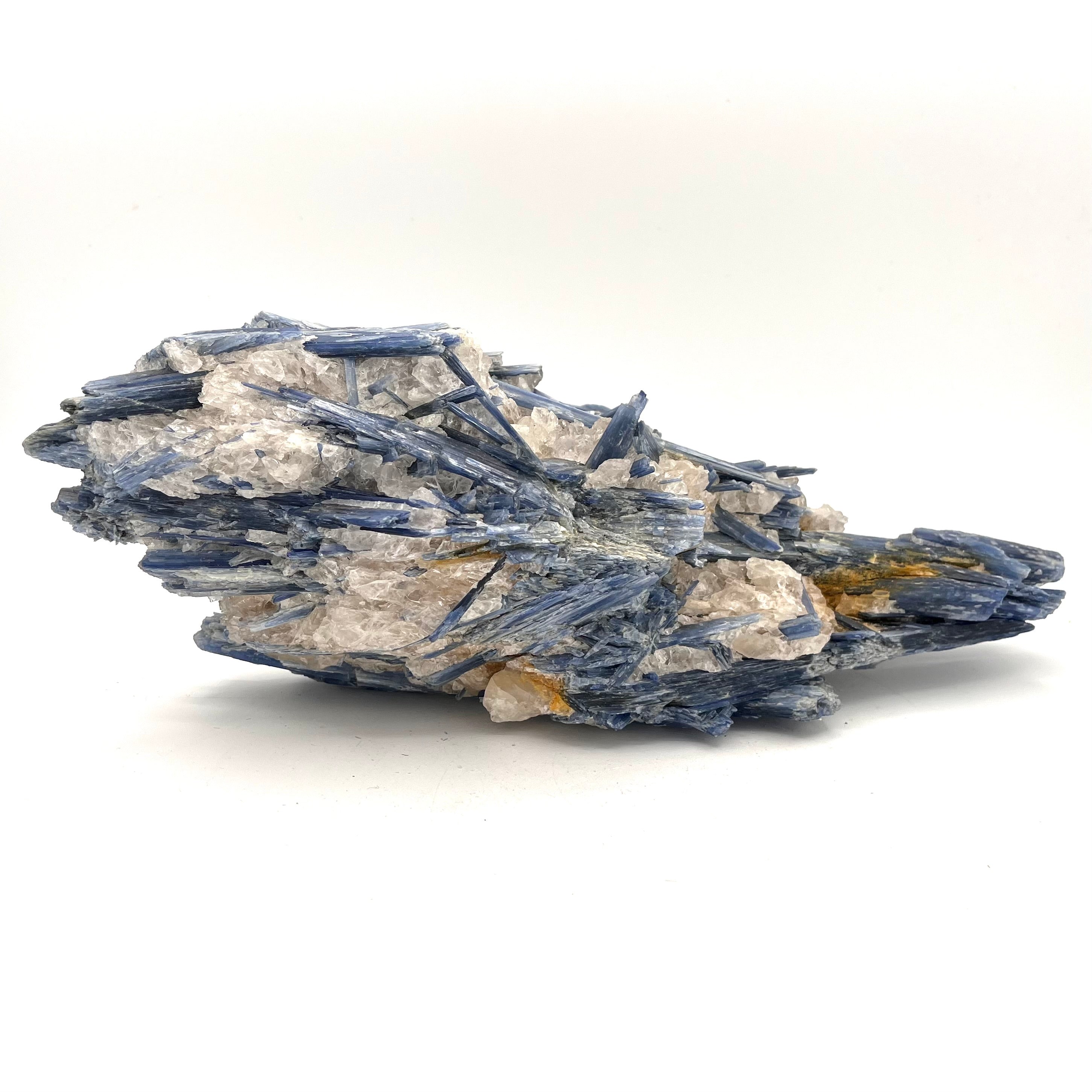 Exceptional Raw Kyanite with Quartz