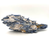 Exceptional Raw Kyanite with Quartz