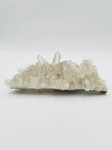 Clear Quartz Cluster