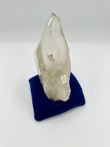 Lemurian Quartz