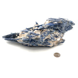 Exceptional Raw Kyanite with Quartz
