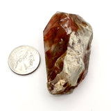 Amphibole Quartz