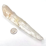 Diamantina Quartz Point- Laser Wand