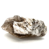 Exquisite Smoky Elestial Quartz w/ Mica & Feldspar
