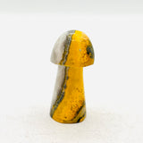 Bumblebee Jasper Mushroom