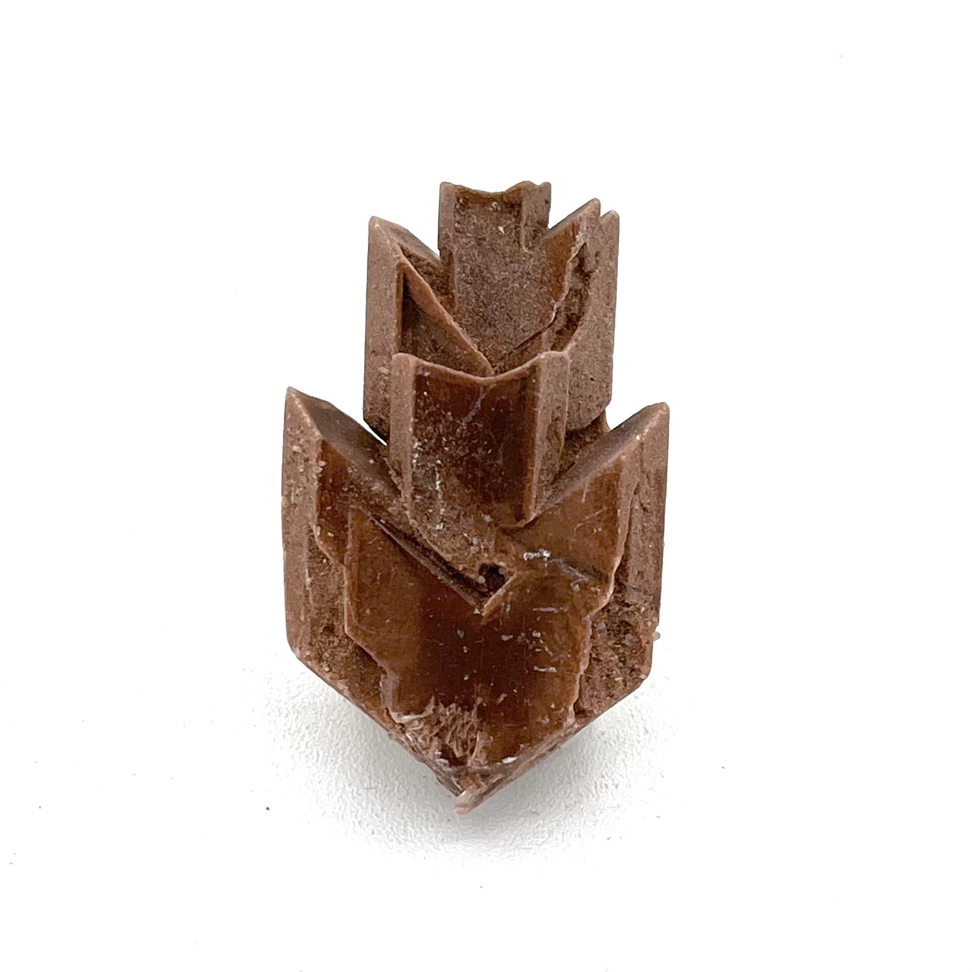 Gypsum Variety Selenite- Great Salt Plains Oklahoma