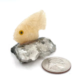 Stone Animal Fish Carvings
