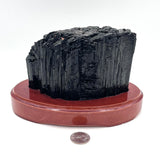 Raw Black Tourmaline in Wood Base