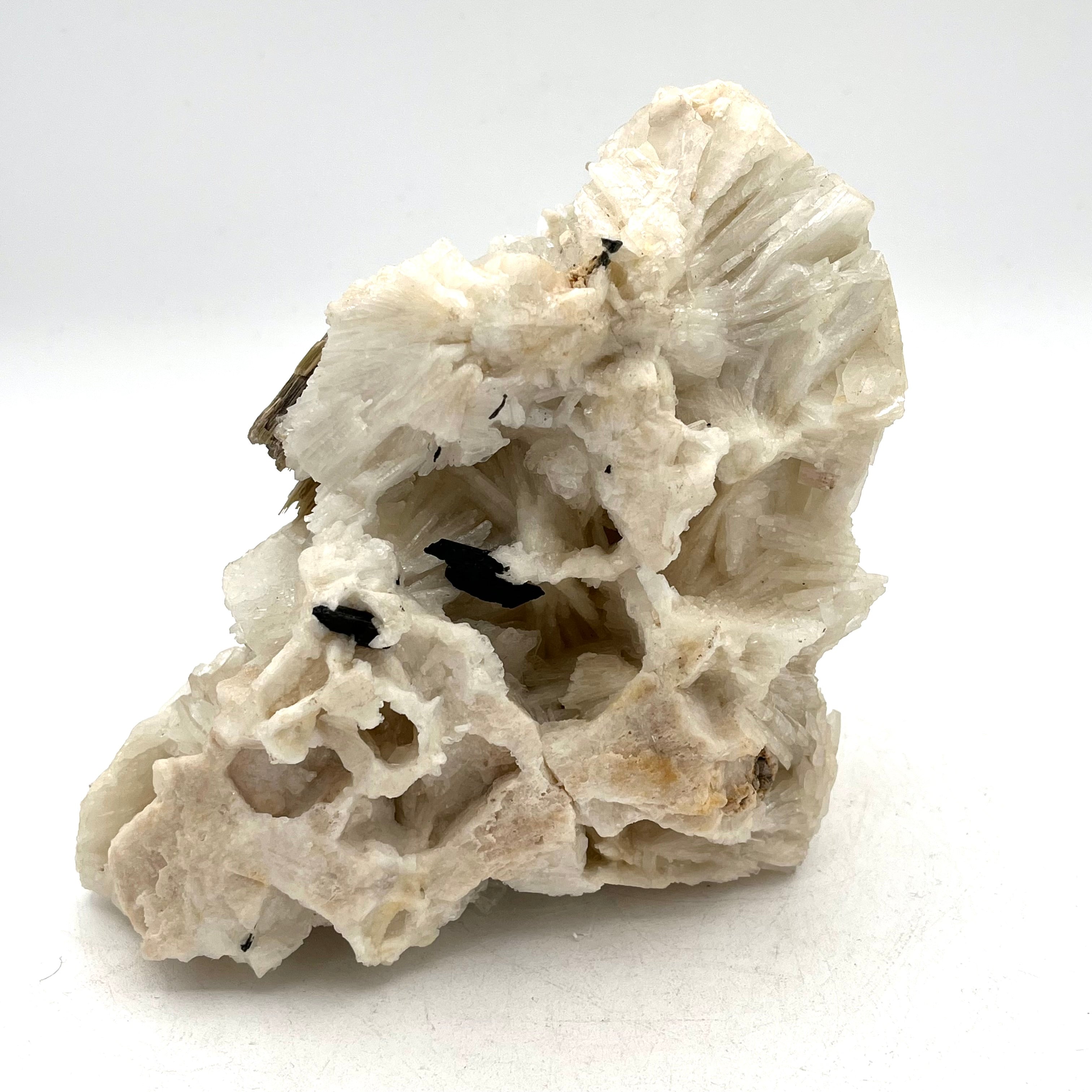 Stunning Gypsum Selenite Angel Wing Cluster w/ Stilbite, Black Tourmaline& Mica