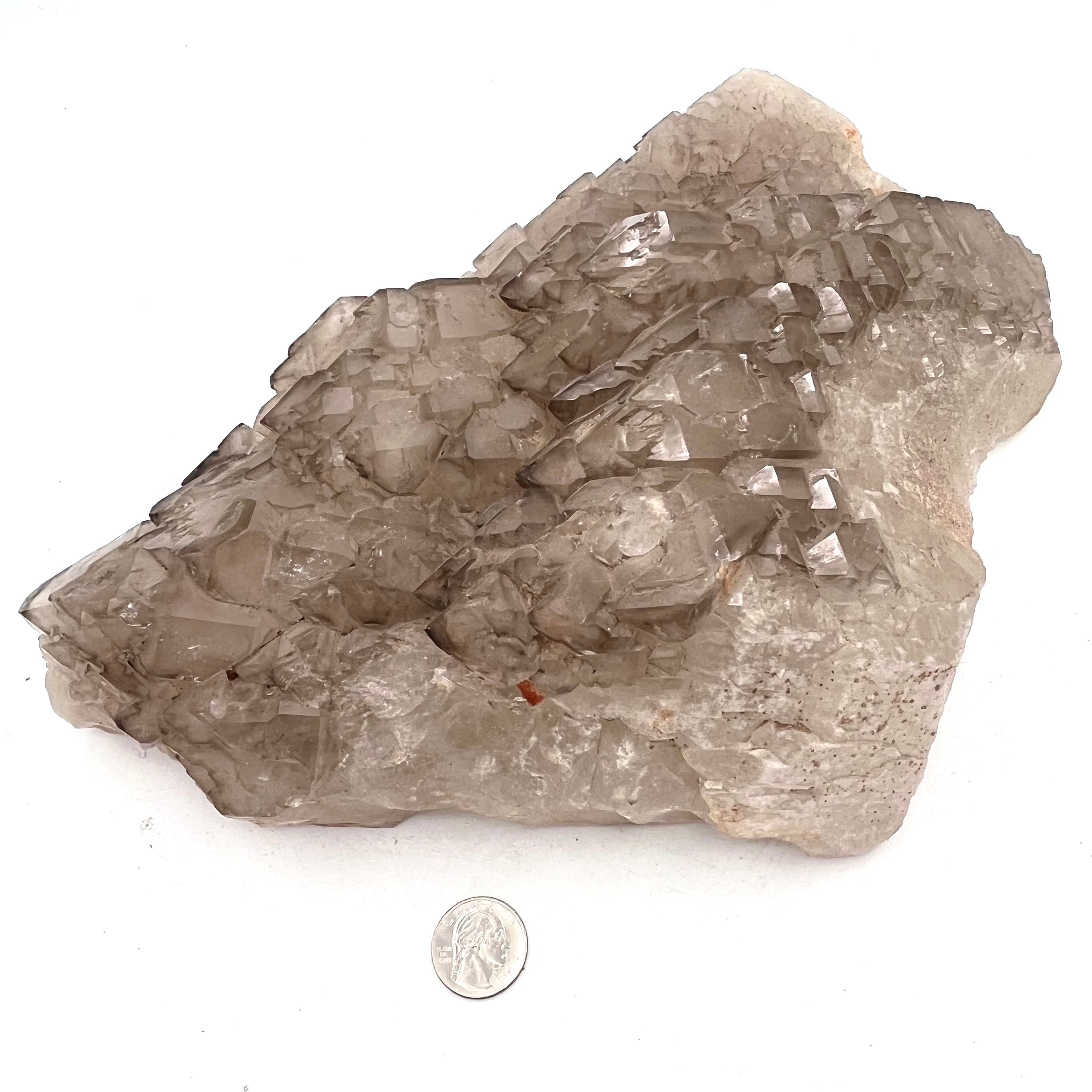 Beautiful Smoky Quartz Alligator Elestial