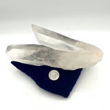 Extraordinary Lemurian Twin- Self Healed