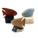 Stone Animal Fish Carvings