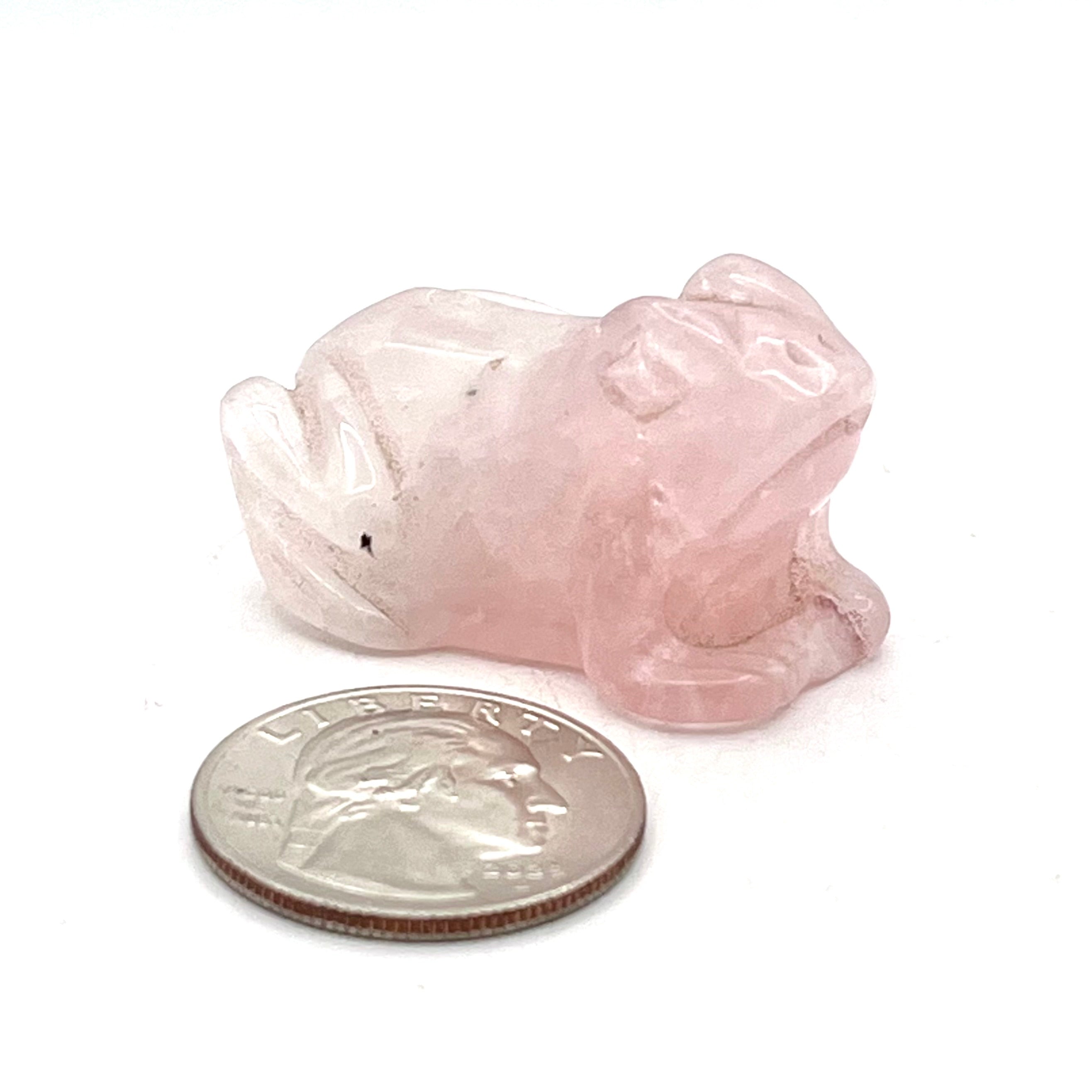 Assorted Stone Frog Animal Carvings